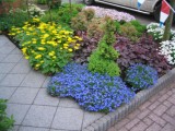 Tuin 17